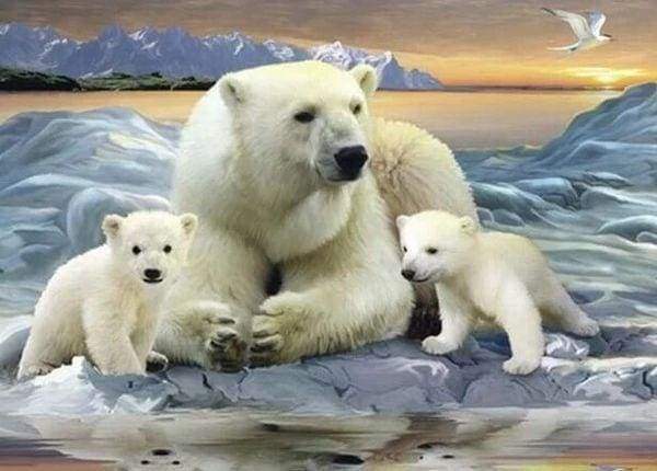 Diamond Painting | Diamond Painting - Polar Bears | animals bear Diamond Painting Animals | FiguredArt