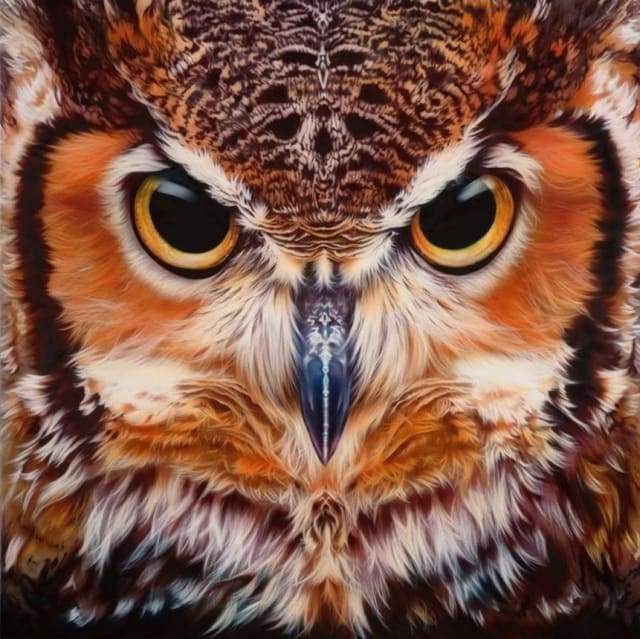 Diamond Painting | Diamond Painting - Portrait of Owls | animals Diamond Painting Animals owls | FiguredArt