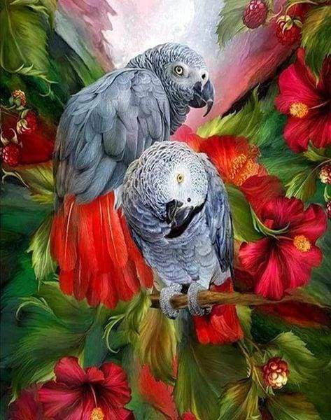 Diamond Painting | Diamond Painting - Red and Gray Parrots | animals birds Diamond Painting Animals parrots | FiguredArt