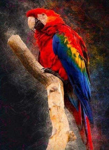 Diamond Painting | Diamond Painting - Red Parrot | animals birds Diamond Painting Animals parrots | FiguredArt