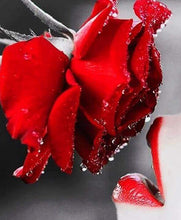 Load image into Gallery viewer, Diamond Painting | Diamond Painting - Red Rose and Lips | Diamond Painting Flowers flowers | FiguredArt