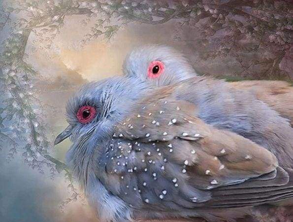 Diamond Painting | Diamond Painting - Shiny Birds | animals birds Diamond Painting Animals | FiguredArt