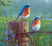 Load image into Gallery viewer, Diamond Painting | Diamond Painting - Small Birds | animals birds Diamond Painting Animals | FiguredArt