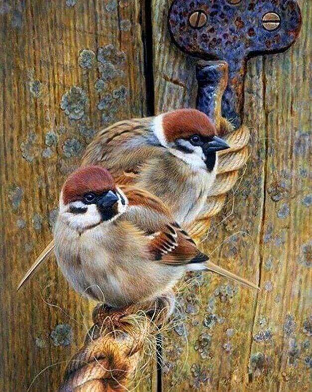 Diamond Painting | Diamond Painting - Sparrows on a Rope | animals Diamond Painting Animals | FiguredArt