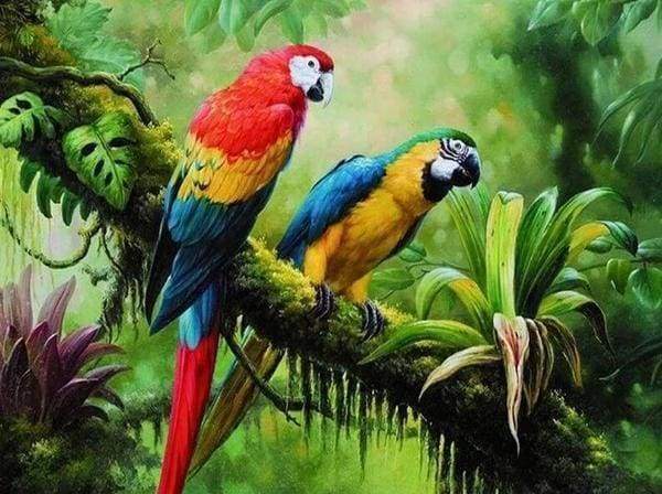 Diamond Painting | Diamond Painting - The Parrots | animals birds Diamond Painting Animals parrots | FiguredArt