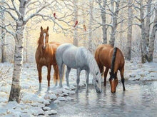 Load image into Gallery viewer, Diamond Painting | Diamond Painting - Three Horses in the Snowy Forest | animals Diamond Painting Animals horses | FiguredArt