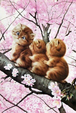 Load image into Gallery viewer, Diamond Painting | Diamond Painting - Three kittens on a Branch | animals cats Diamond Painting Animals | FiguredArt