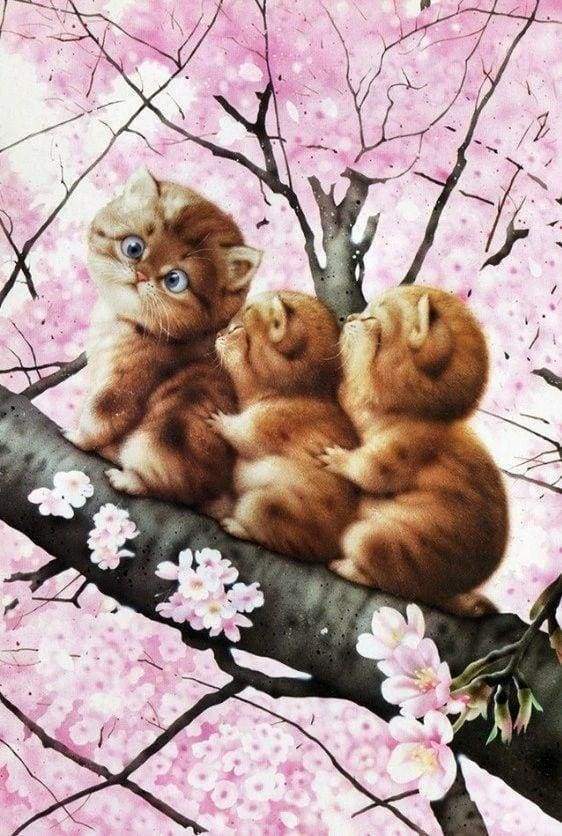 Diamond Painting | Diamond Painting - Three kittens on a Branch | animals cats Diamond Painting Animals | FiguredArt