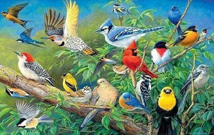 Diamond Painting | Diamond Painting - Tropical Birds | animals birds Diamond Painting Animals | FiguredArt