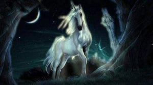 Diamond Painting | Diamond Painting - Unicorn in the dark | animals Diamond Painting Animals unicorns | FiguredArt