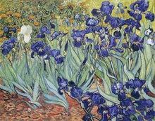 Load image into Gallery viewer, Diamond Painting | Diamond Painting - Van Gogh Flowers Design | Diamond Painting Famous Paintings famous paintings flowers van gogh |