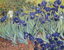 Load image into Gallery viewer, Diamond Painting | Diamond Painting - Van Gogh Flowers | Diamond Painting Famous Paintings famous paintings flowers van gogh | FiguredArt