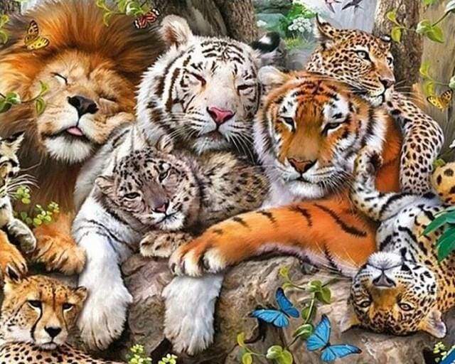 Diamond Painting | Diamond Painting - Wildcats | animals Diamond Painting Animals | FiguredArt