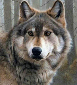 Diamond Painting | Diamond Painting - Wolf Portrait | animals Diamond Painting Animals | FiguredArt