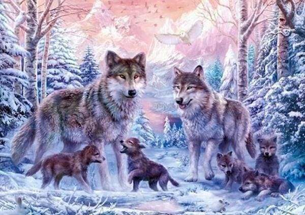 Diamond Painting | Diamond Painting - Wolves | animals Diamond Painting Animals rabbits wolves | FiguredArt