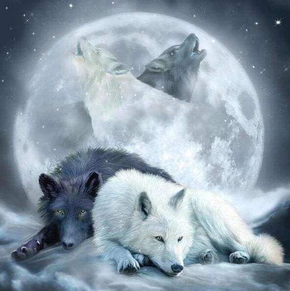 White Wolf - Diamond Paintings 