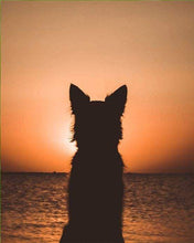Load image into Gallery viewer, paint by numbers | Dog and Sunset | animals dogs intermediate new arrivals | FiguredArt