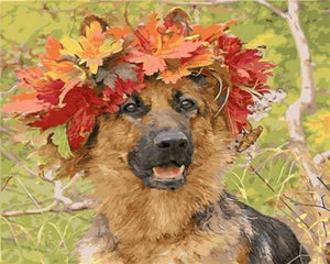 paint by numbers | Dog In Autumn | advanced animals dogs | FiguredArt