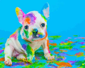 paint by numbers | Dog Painting | animals dogs easy new arrivals | FiguredArt