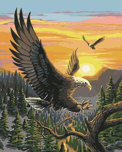 paint by numbers | Eagle at Sunrise | animals birds eagles easy landscapes | FiguredArt