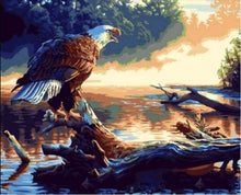 Load image into Gallery viewer, paint by numbers | Eagle Call | animals birds eagles easy | FiguredArt