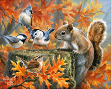 Load image into Gallery viewer, Paint by numbers | Mischievous Squirrel | animals flowers intermediate birds squirrels | Figured&#39;Art