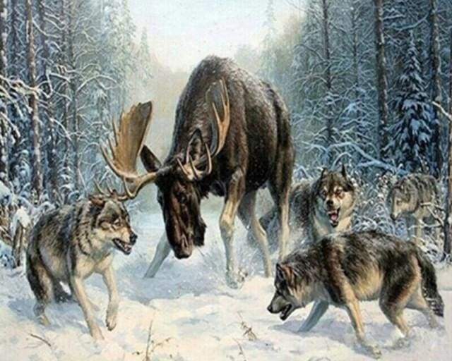 paint by numbers | Elan surrounded by a pack of wolves | advanced animals wolves | FiguredArt