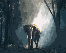 Load image into Gallery viewer, paint by numbers | Elephant in the Dark Forest | animals easy elephants | FiguredArt
