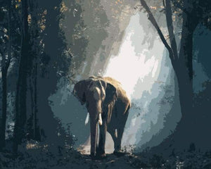 paint by numbers | Elephant in the Dark Forest | animals easy elephants | FiguredArt