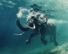 Load image into Gallery viewer, paint by numbers | Elephant Swimming | advanced animals elephants | FiguredArt