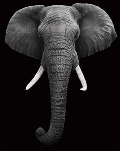 paint by numbers | Elephant White And Black | advanced animals elephants | FiguredArt