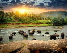 Load image into Gallery viewer, paint by numbers | Elephants in the River | advanced animals elephants new arrivals | FiguredArt
