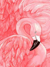 Load image into Gallery viewer, paint by numbers | Flamingo | animals birds easy flamingos | FiguredArt