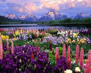 paint by numbers | Flowers and Lake near the Mountain | advanced flowers landscapes | FiguredArt