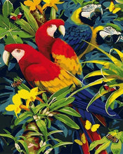 Load image into Gallery viewer, paint by numbers | Four Parrots | animals birds intermediate parrots | FiguredArt