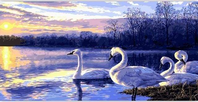 paint by numbers | Four Swans | advanced animals birds landscapes swans | FiguredArt