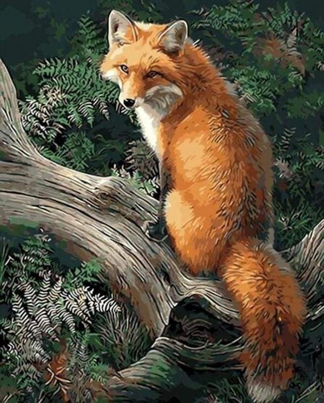 paint by numbers | Fox in the Woods | advanced animals foxes | FiguredArt