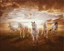 Load image into Gallery viewer, paint by numbers | Galloping white Horses | advanced animals horses | FiguredArt