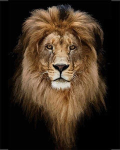 paint by numbers | Gold Lion Head | animals intermediate lions | FiguredArt