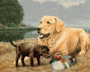 paint by numbers | Golden Retriever Dog | animals dogs intermediate | FiguredArt