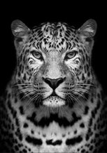 Load image into Gallery viewer, paint by numbers | Gray leopard | advanced animals leopards | FiguredArt