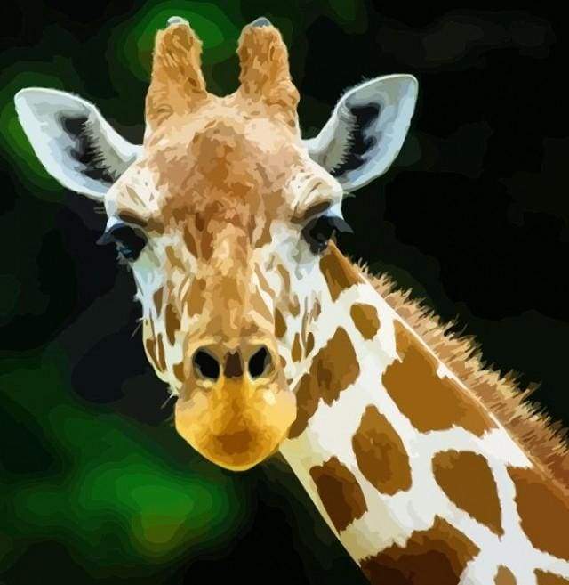 paint by numbers | Head And Neck Giraffe | animals easy giraffes | FiguredArt
