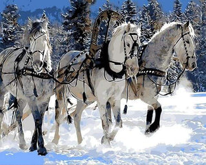 paint by numbers | Horse ballad in the Snow | animals horses intermediate | FiguredArt