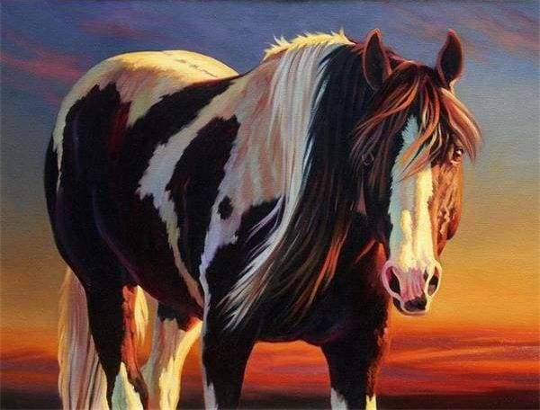 paint by numbers | Horse Black And White | advanced animals horses | FiguredArt