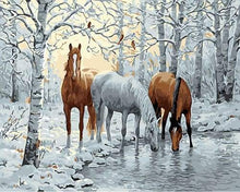 Load image into Gallery viewer, paint by numbers | Horses in the White Forest | animals horses intermediate landscapes | FiguredArt