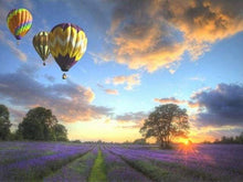 Load image into Gallery viewer, paint by numbers | Hot Air Balloon over the Fields | advanced landscapes | FiguredArt