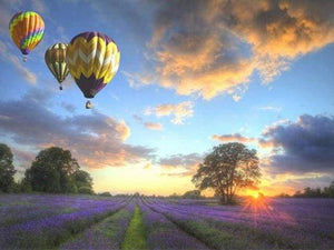 paint by numbers | Hot Air Balloon over the Fields | advanced landscapes | FiguredArt