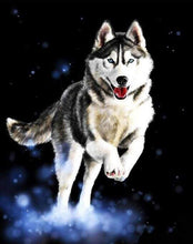 Load image into Gallery viewer, paint by numbers | Husky | animals dogs intermediate | FiguredArt