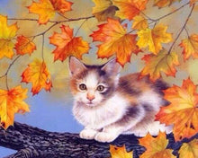 Load image into Gallery viewer, paint by numbers | Kitten on a Branch | animals cats easy | FiguredArt