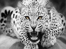 Load image into Gallery viewer, paint by numbers | Leopard Black And White | animals intermediate leopards | FiguredArt